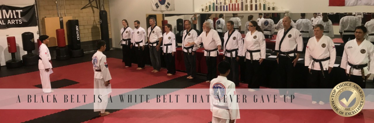 taekwondo black belt test essay
