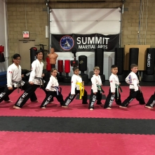 Team Summit Martial Arts